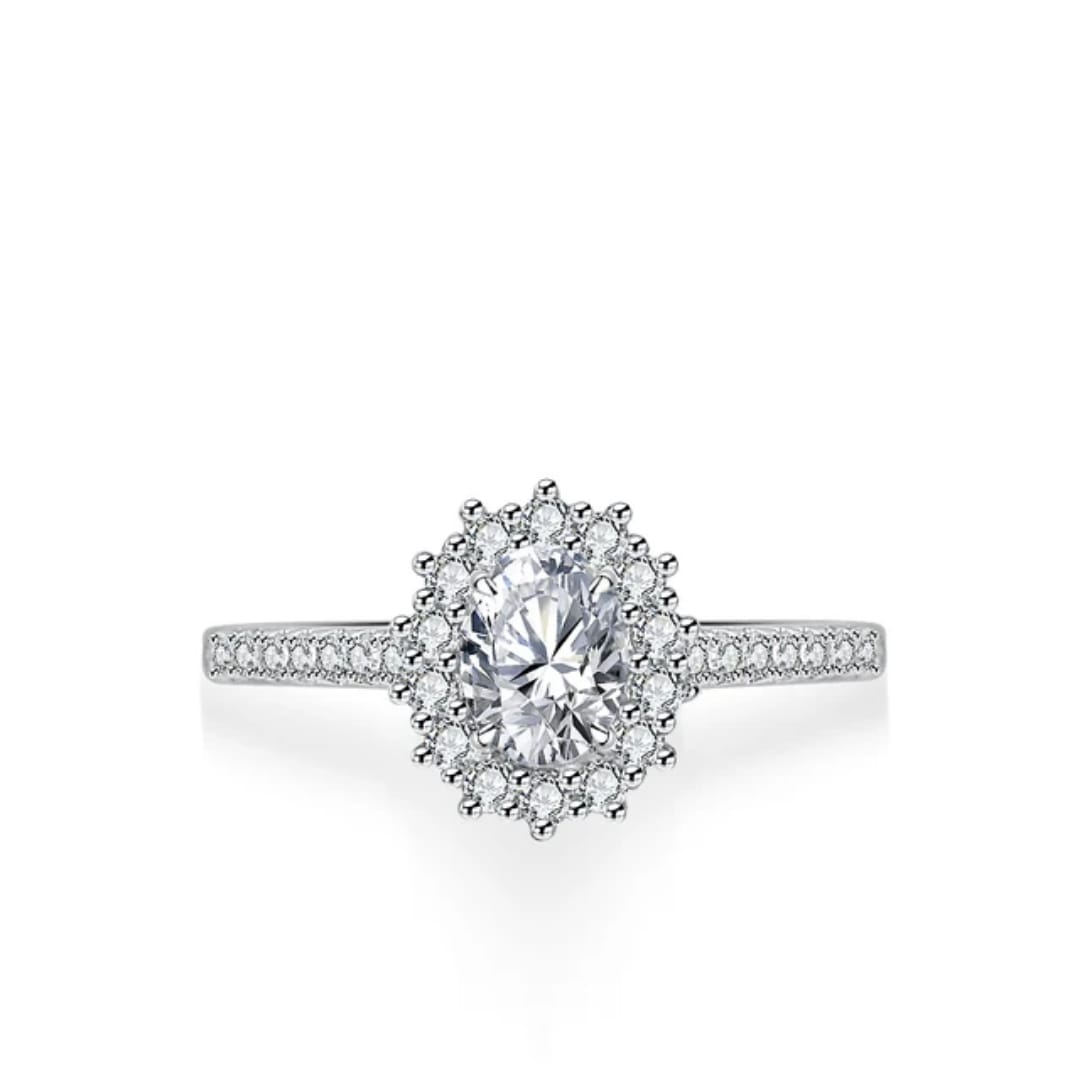 Luminous Halo