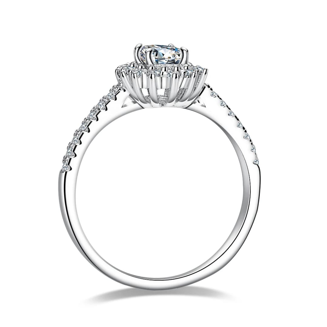 Luminous Halo